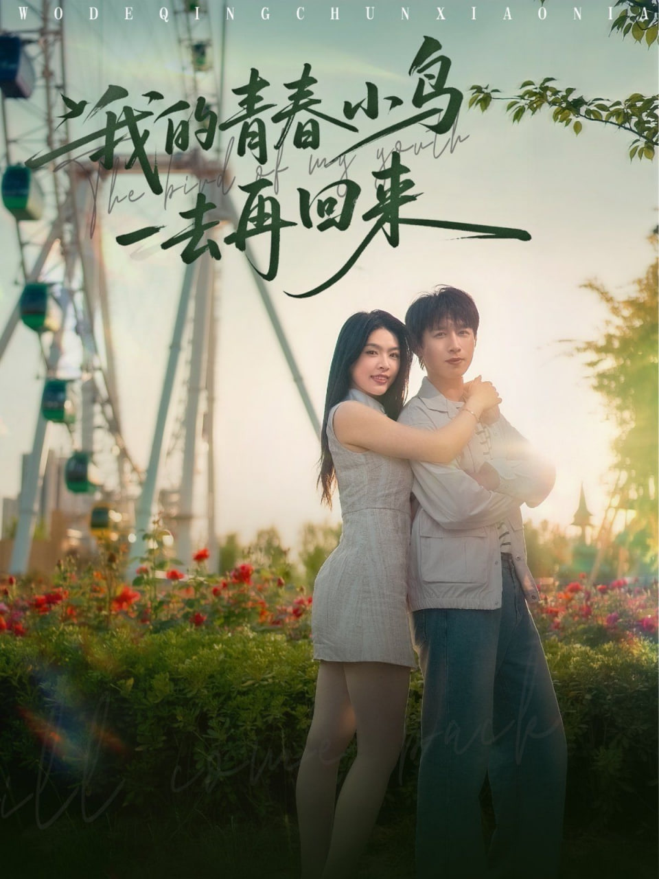 我的青春小鸟一去再回来(全集)