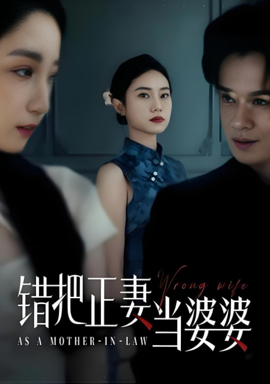错把正妻当婆婆(全集)