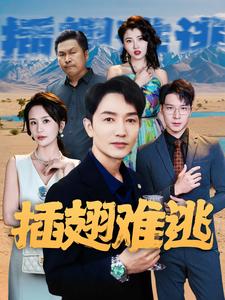 插翅难逃2 第40集