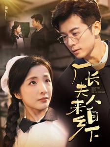 厂长夫人来自乡下 第14集