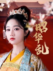 昭华乱 第36集