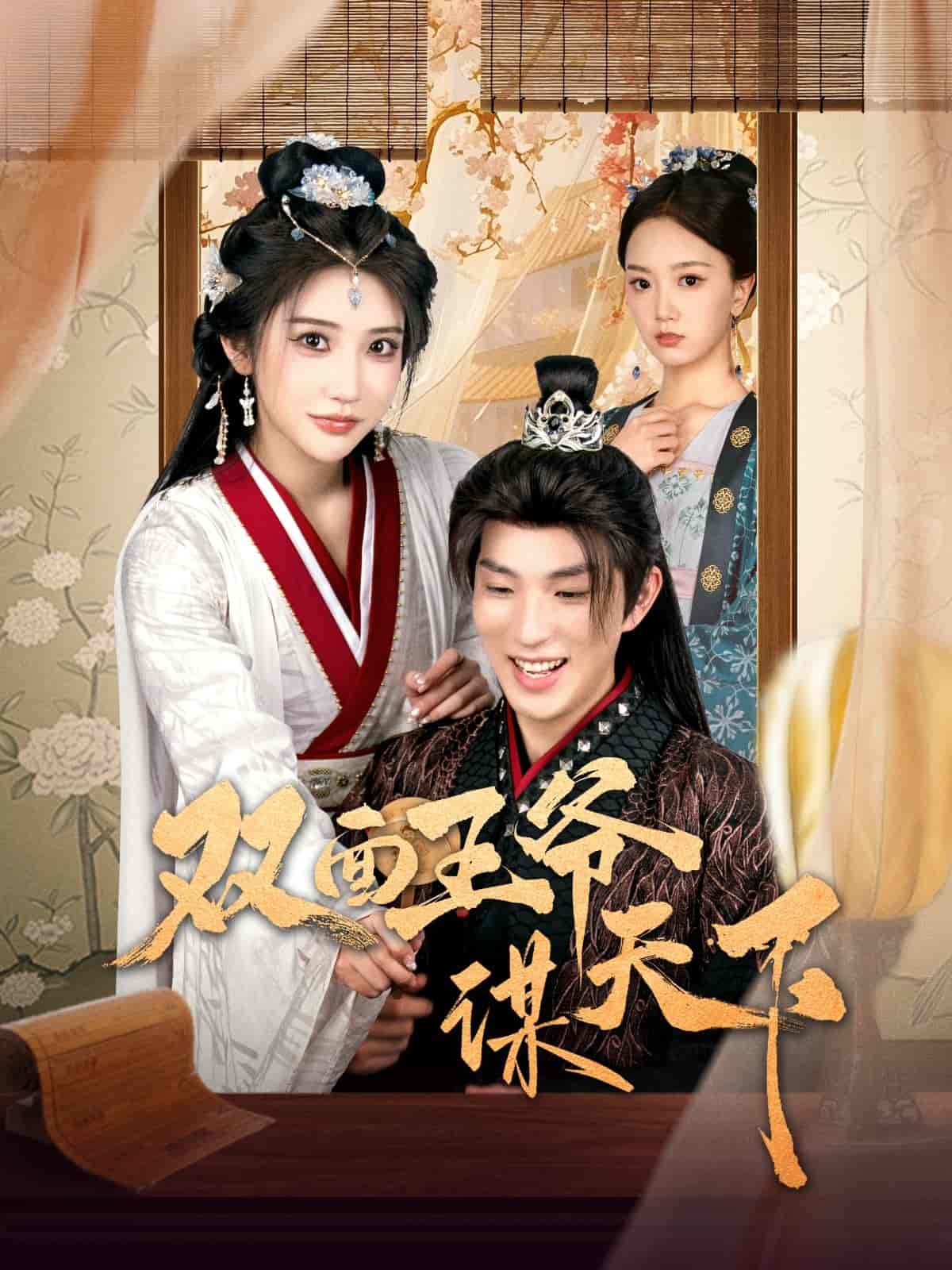 双面王爷谋天下 第61集
